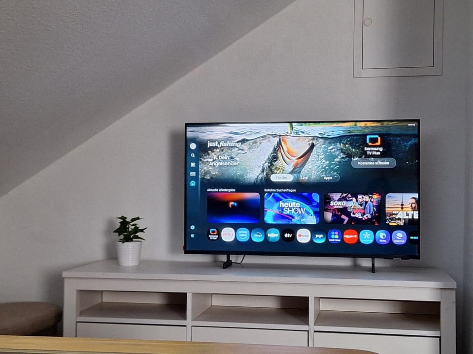 TV and multimedia, Evening entertainment