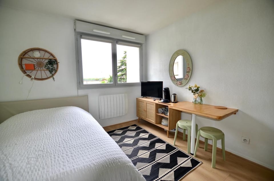 Studio WiFi Cité Internationale Lyon Apartment in Caluire-et-Cuire