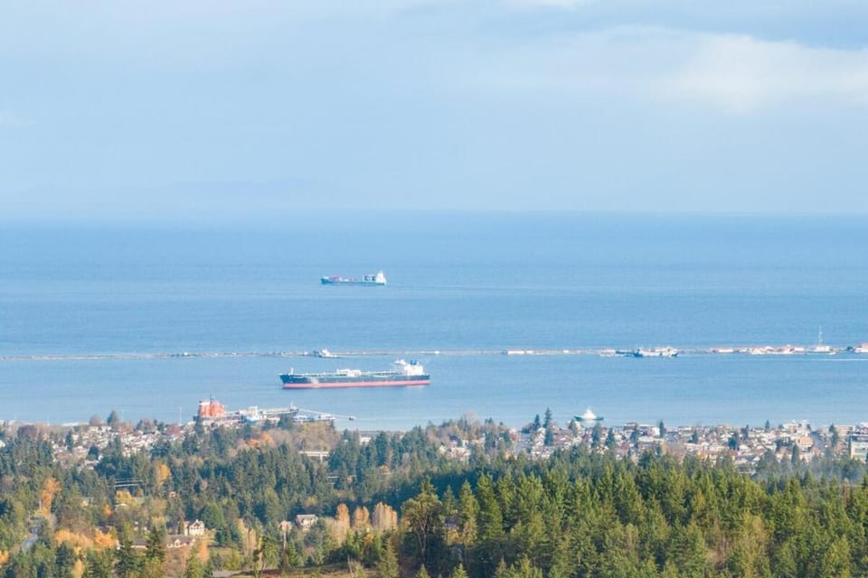 Private ocean view cabin by Olympic National Park, hot tub and gameroom Cabin in Washington