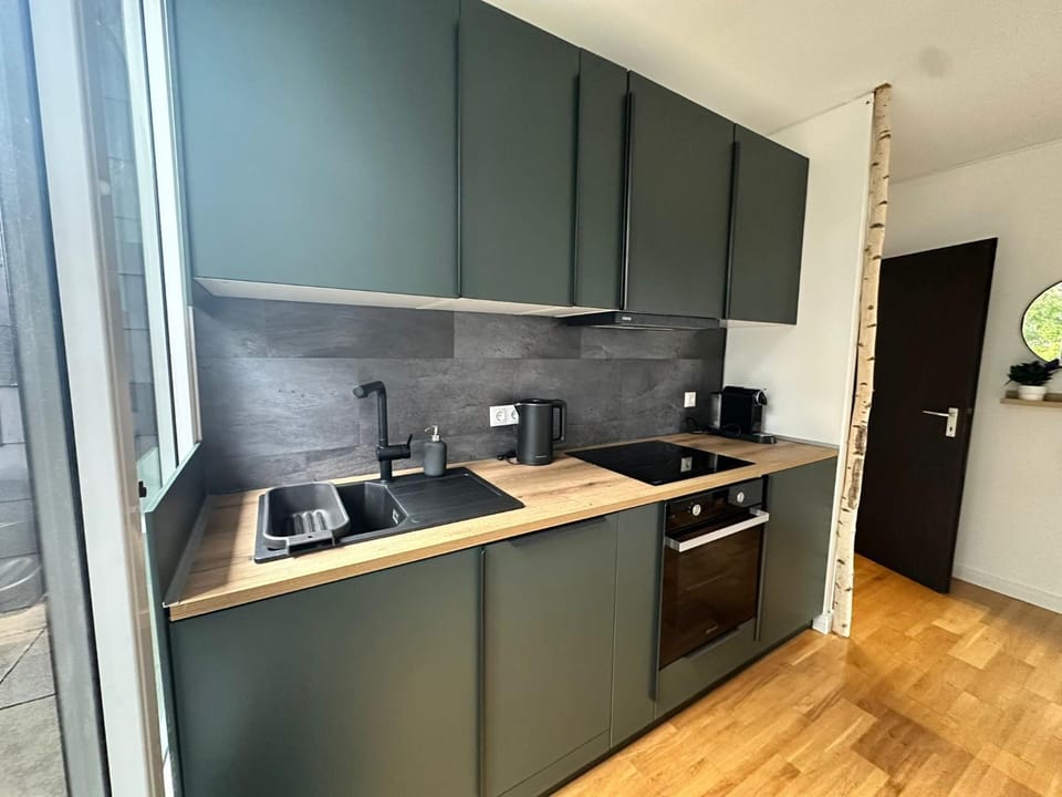 Kitchen or kitchenette, oven, stove, toaster, kitchen
