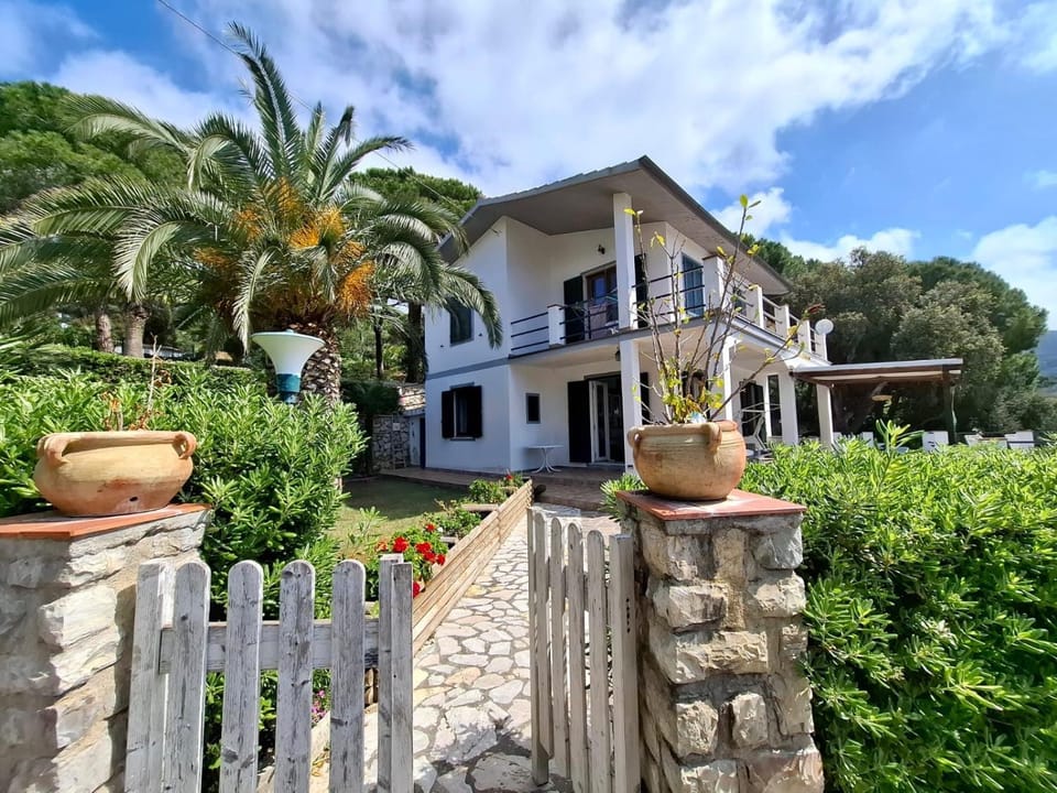 Property building, Garden view