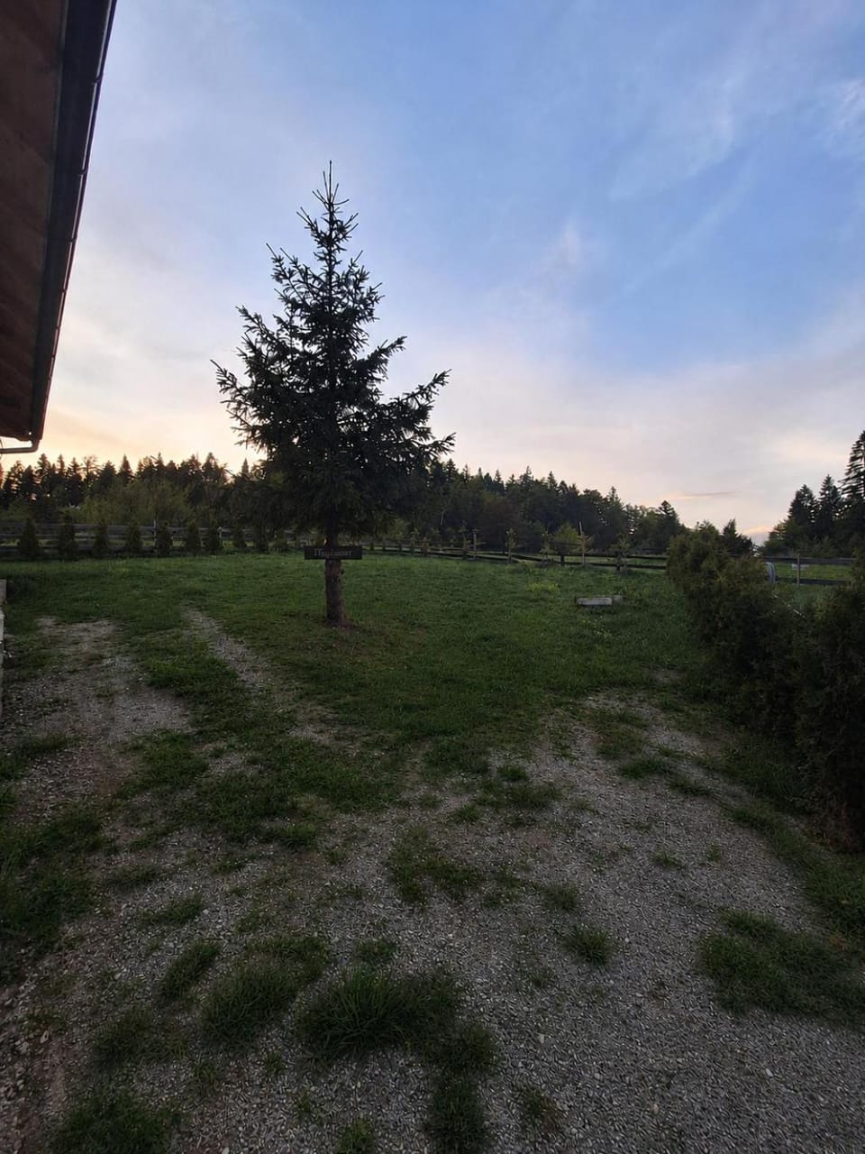 Natural landscape, Garden, Garden view, Parking