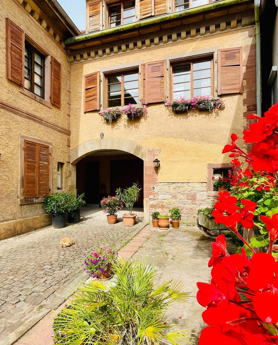 Maison Maragelie Apartment in Grand Est