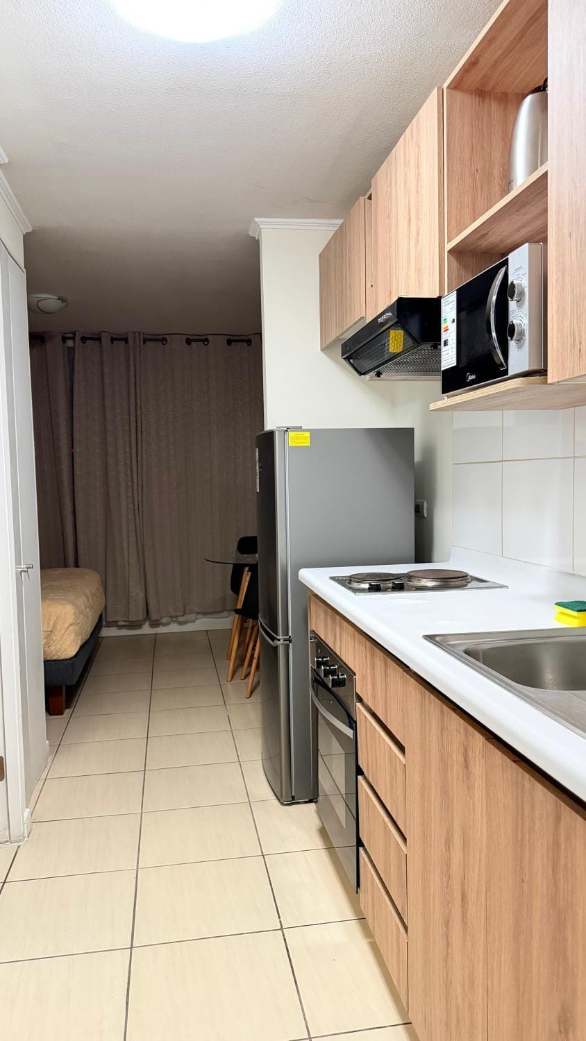 Vista Cordillera Apartment in Santiago