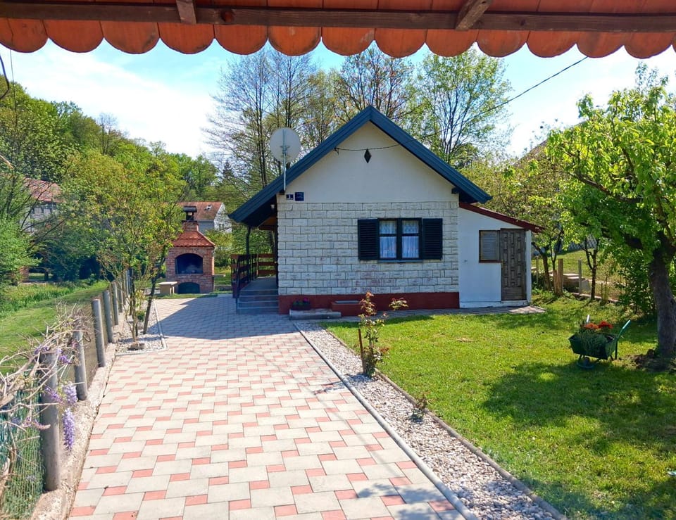 Spring, Neighbourhood, Natural landscape, Garden view