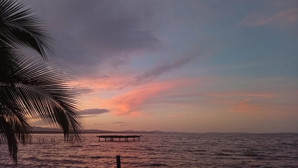 Palmeras de Miramar Bed and Breakfast in Bocas del Toro Province