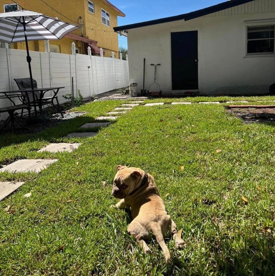 Room near Downtown Apartment in Fort Lauderdale