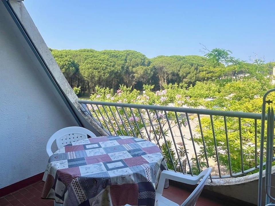 Studio climatisé au calme, terrasse - FR-1-874-68 Apartment in La Grande-Motte