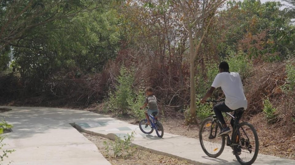 Natural landscape, Cycling
