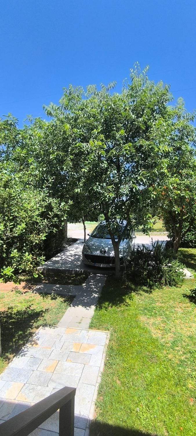 Iskra Tiny House House in Podgorica