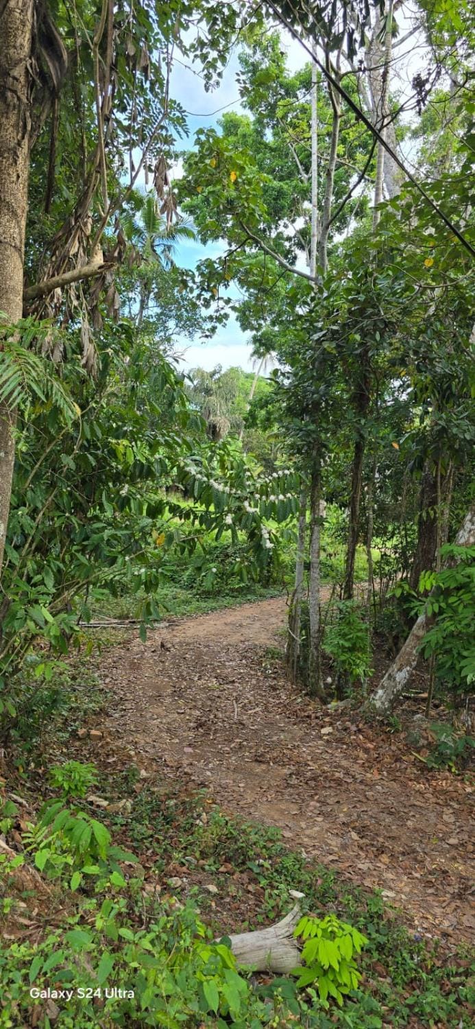 Natural landscape