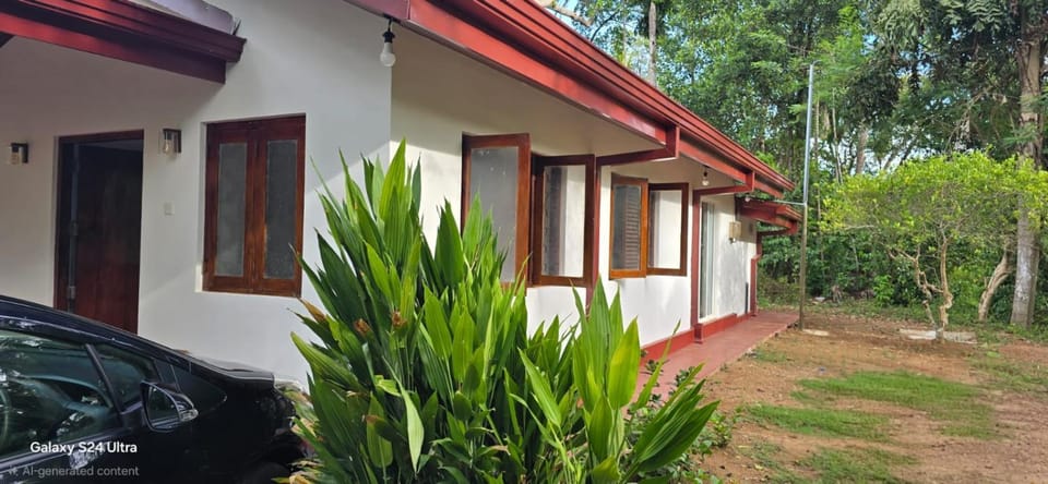 Property building, Garden view