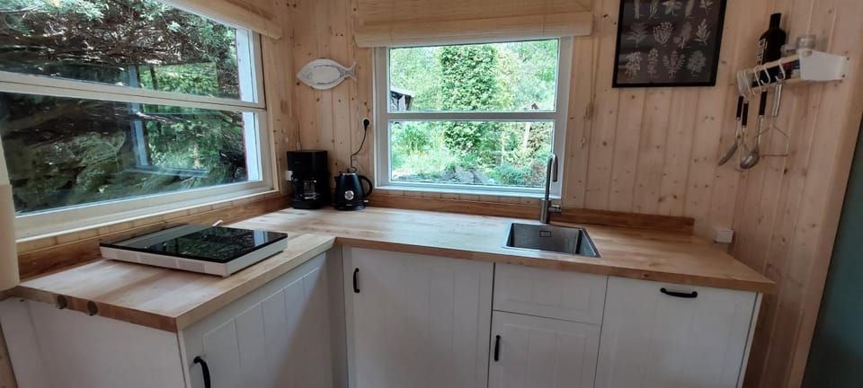 Kitchen or kitchenette, kitchen
