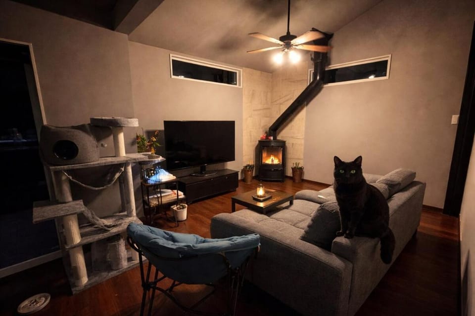 A Quiet Night of Stars in Nagahama Local Stay Apartment in Shiga, Japan