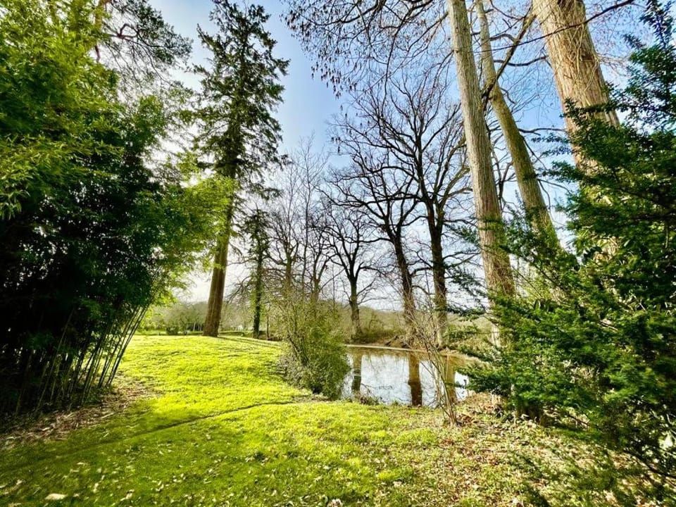 Natural landscape, Garden, Garden view
