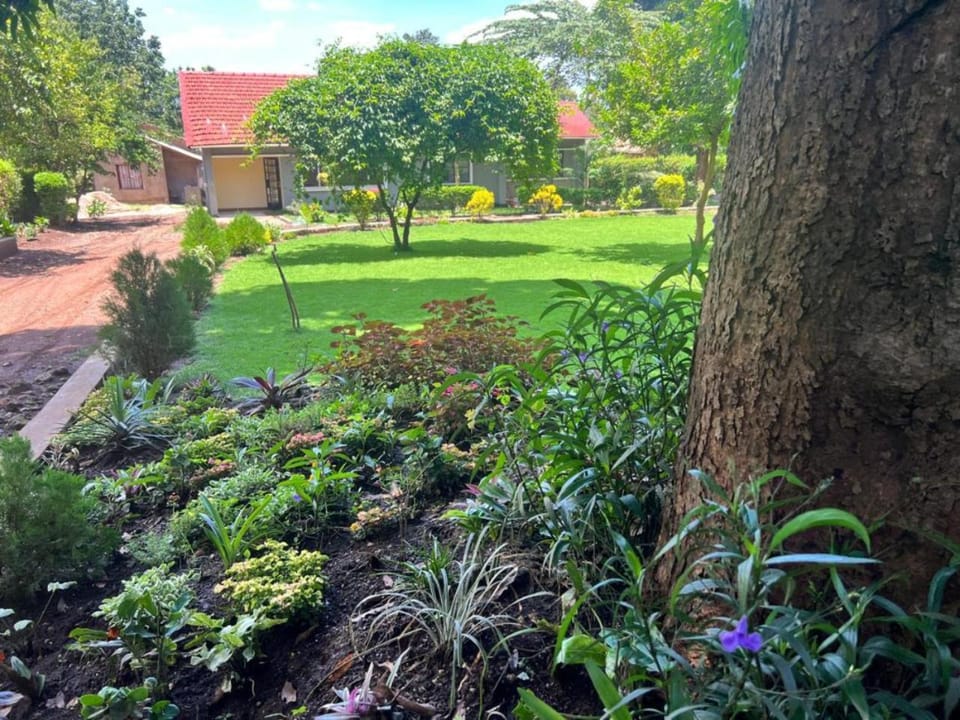 Day, Natural landscape, Garden, Garden view