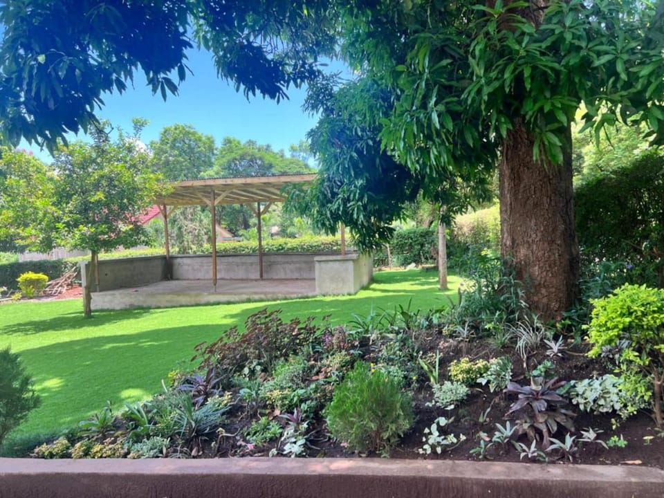 Day, Natural landscape, Garden, Garden view