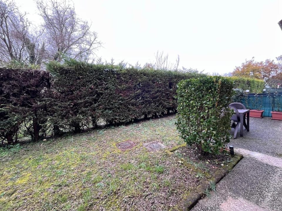 Spring, Day, Natural landscape, Garden, Garden view