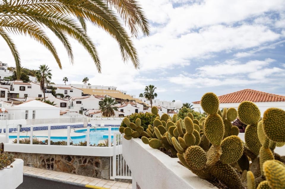 Day, Pool view, Swimming pool, sunbed