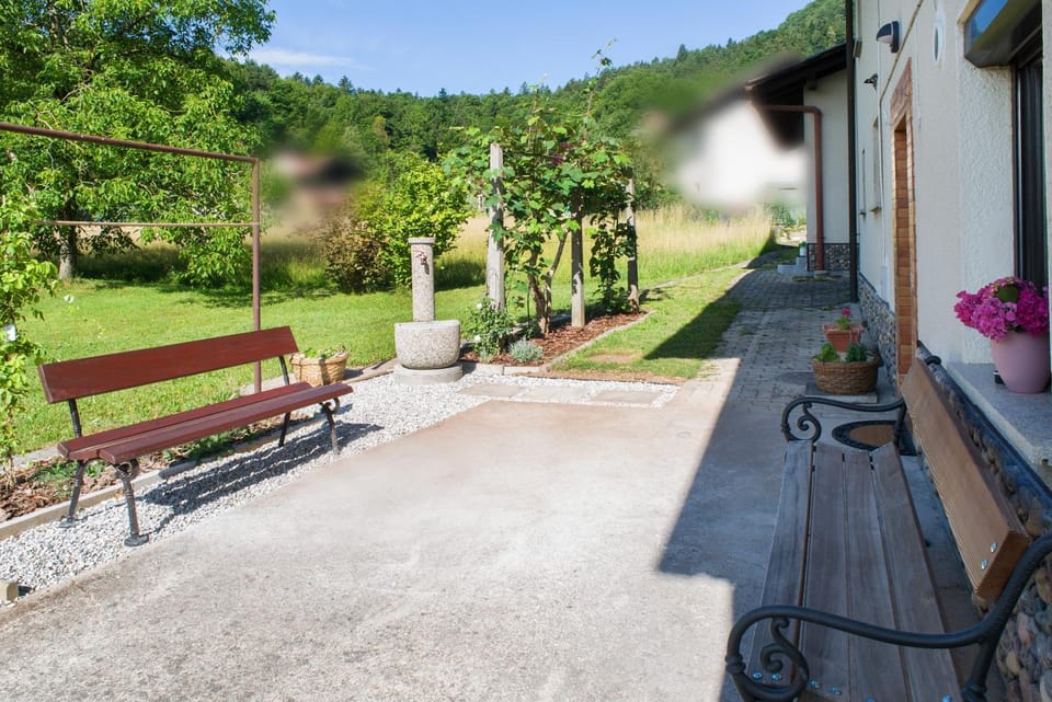 Day, Natural landscape, Garden