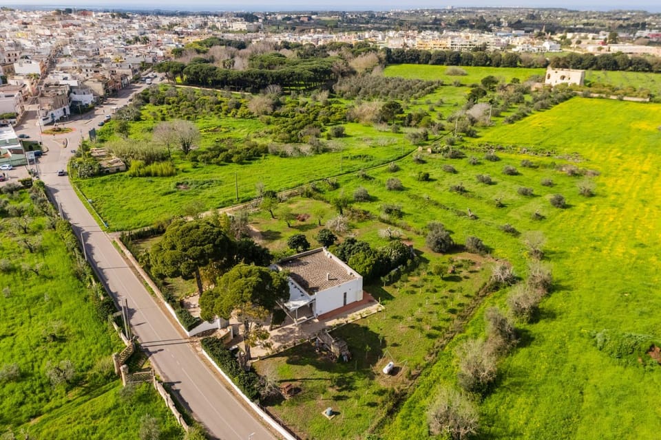 Bird's eye view, Garden