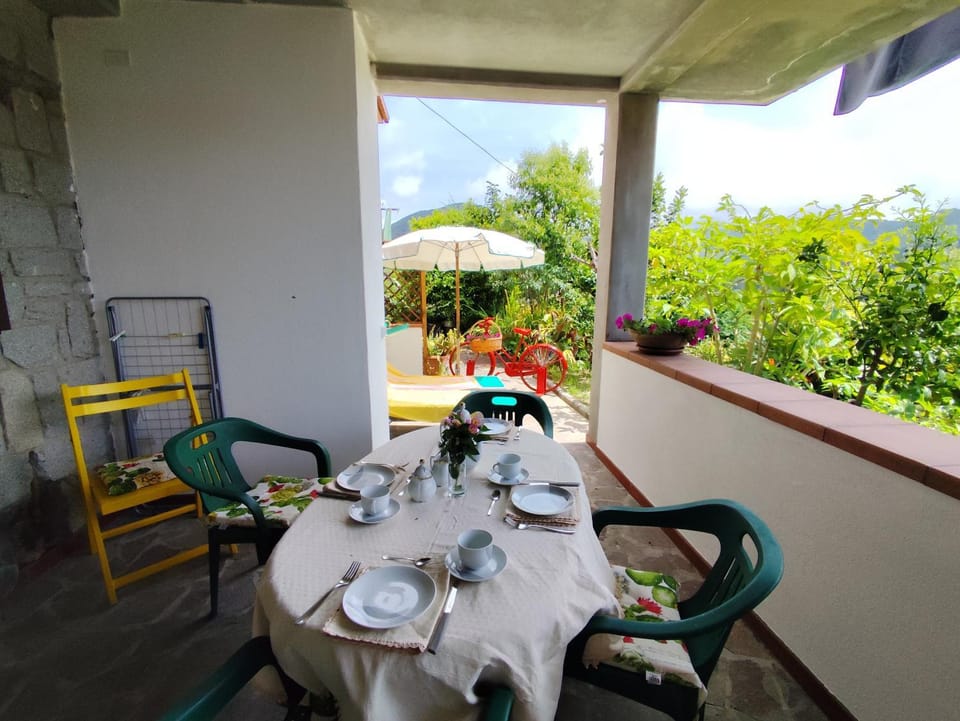 Patio, Day, Garden, Balcony/Terrace
