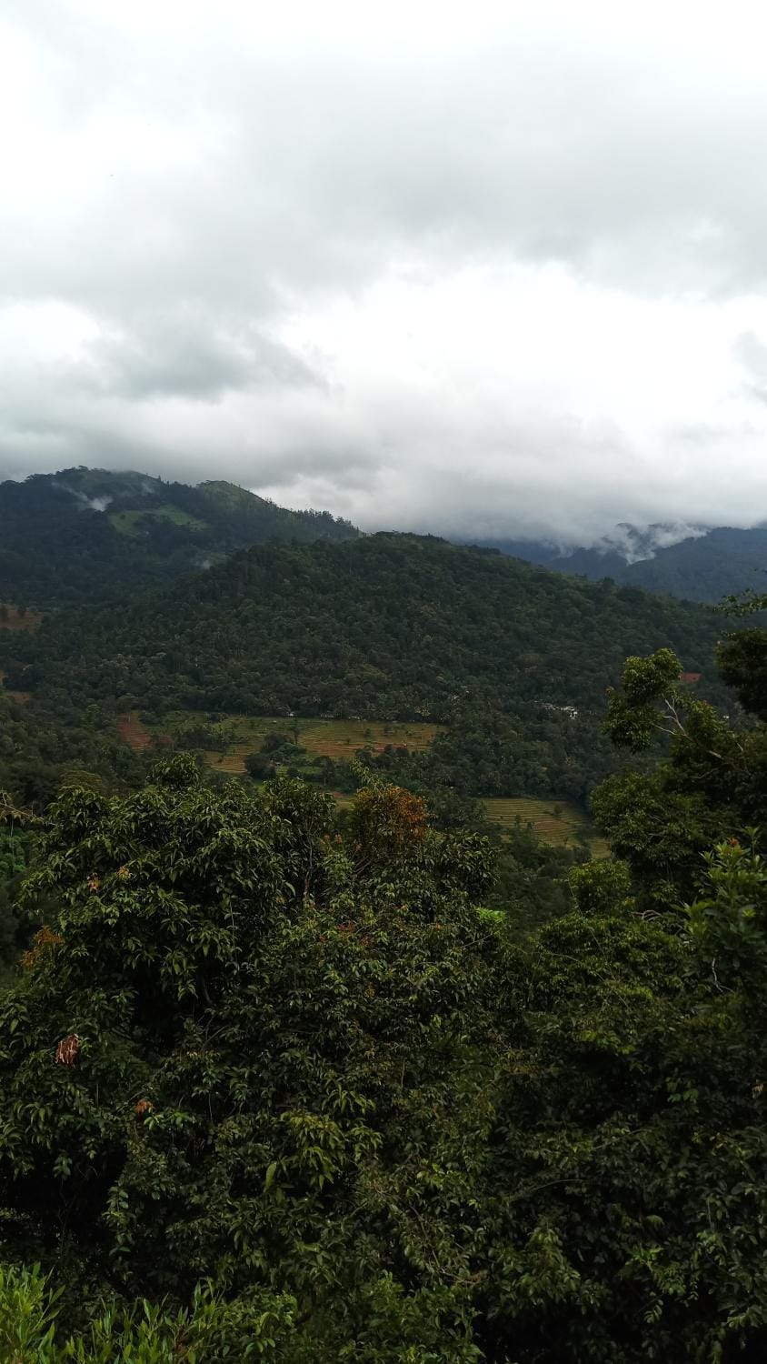 Trekker's Lodge Nature lodge in Central Province