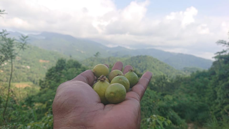Trekker's Lodge Nature lodge in Central Province