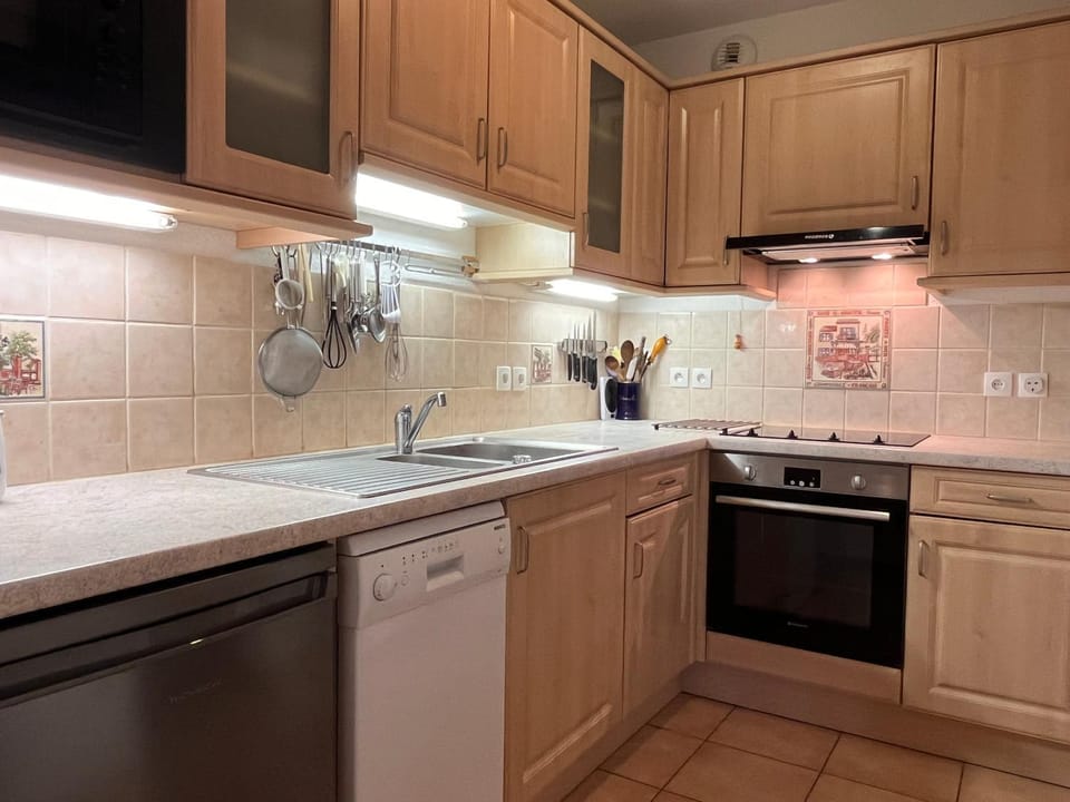 dishwasher, stove, kitchen