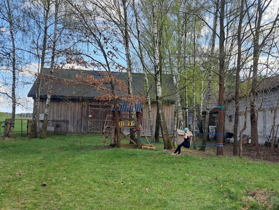 Spring, Natural landscape, children
