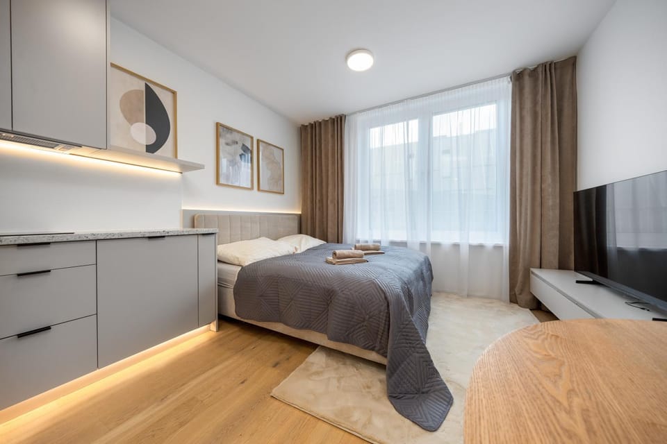 Luxury Studio VYDRICA, Castle & Danube, Prime Old Town Apartment in Bratislava