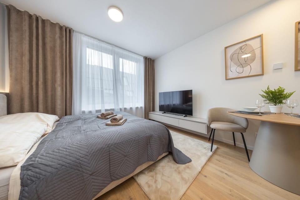 Luxury Studio VYDRICA, Castle & Danube, Prime Old Town Apartment in Bratislava