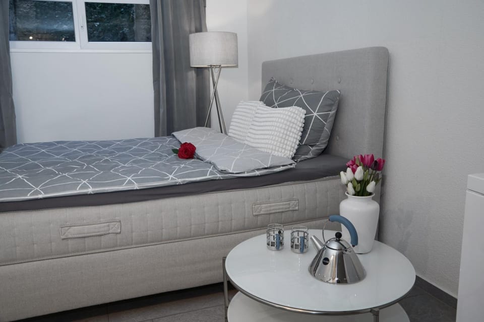 Businessappartment Feldbrunnen Apartment in Canton of Bern (Region)