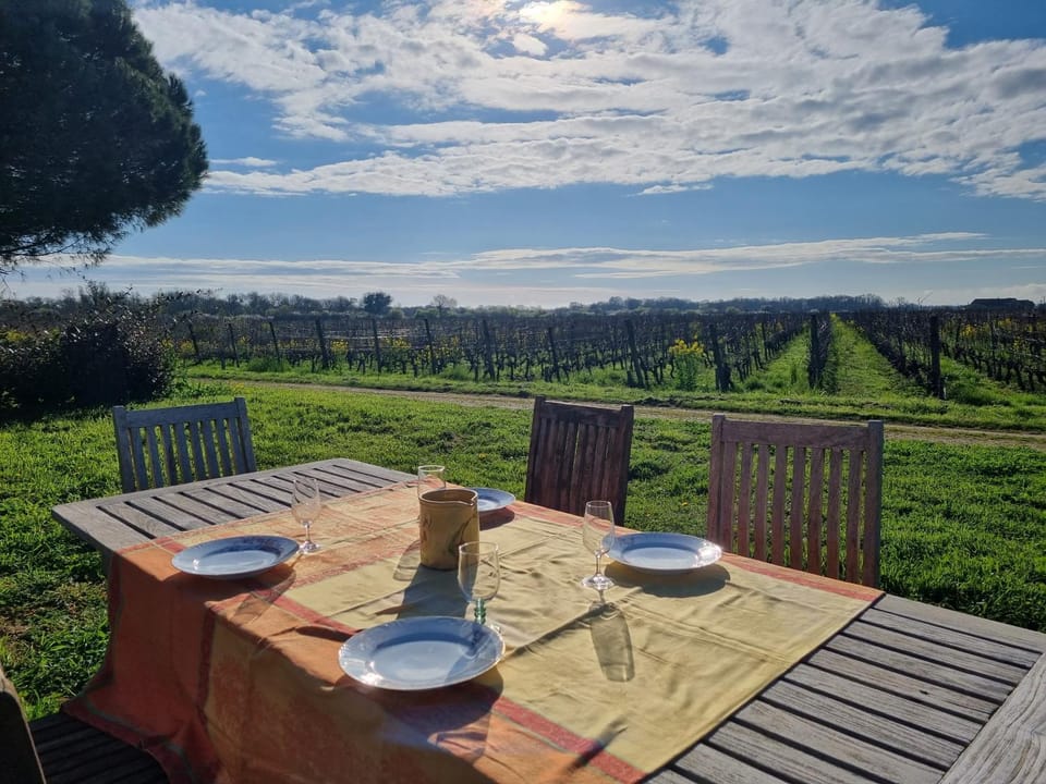 Garden, Dining area