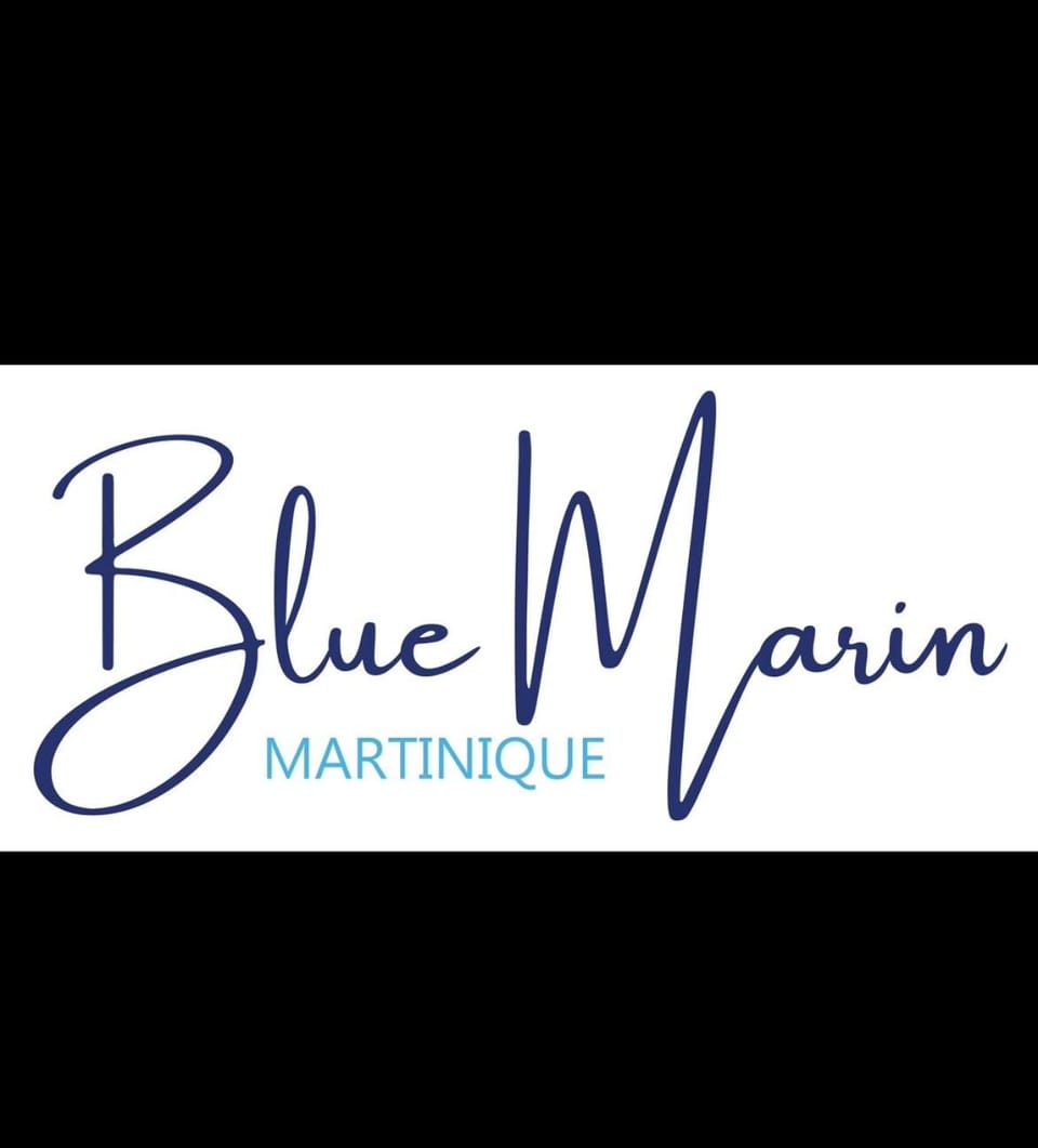 Blue Marin Villa, 2 bedrooms, pool, sea view Villa in Sainte-Anne