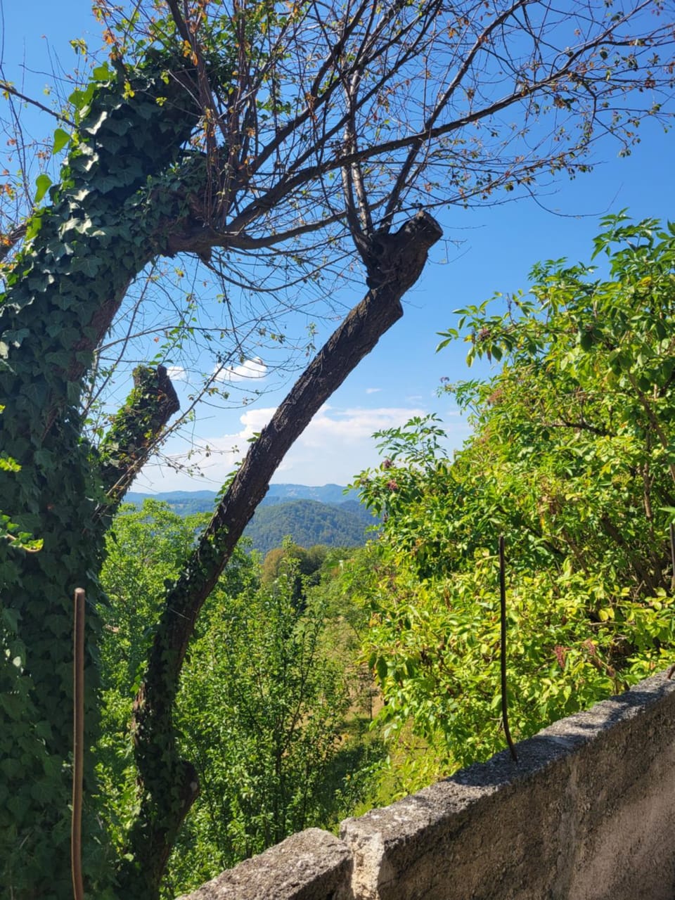 Sunny Hilltop Cottage - 42 km from Ljubljana House in Slovenia