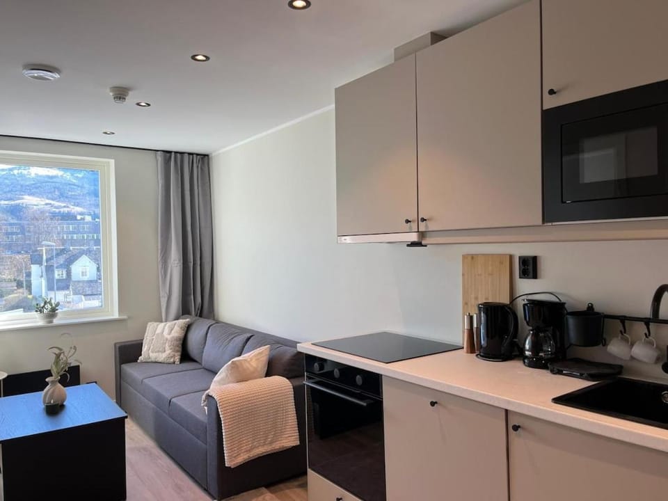 Luxury River View apt - Hotel Vibe - Heart of Voss Apartment in Vestland