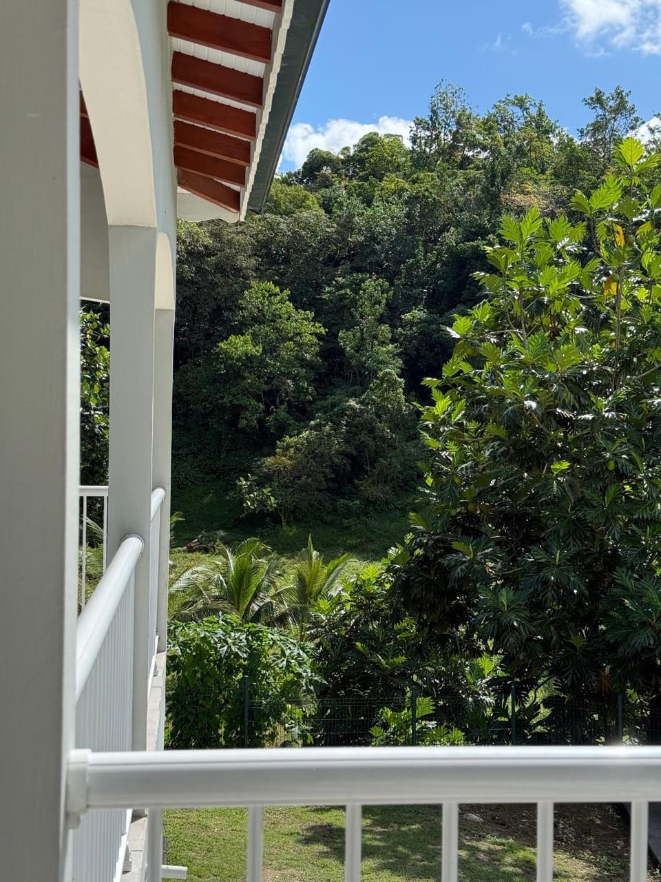 Garden view