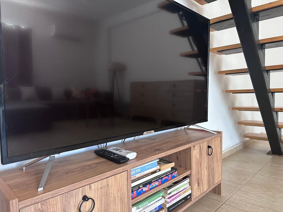 TV and multimedia