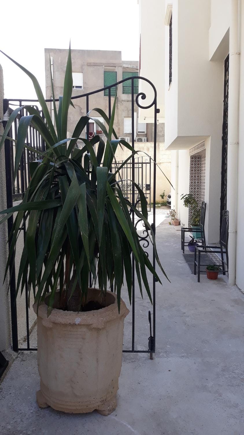 Architect-designed house Apartment in Algiers [El Djazaïr]