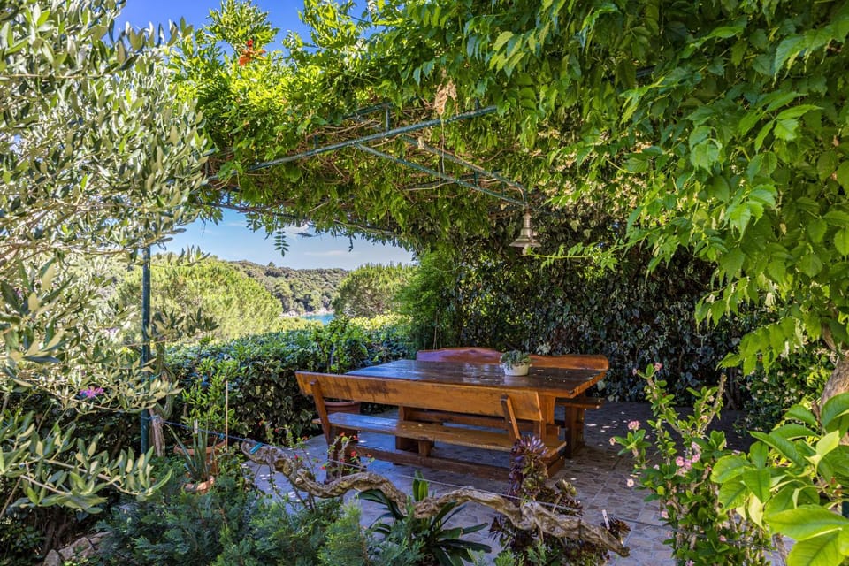 Patio, Garden, Garden view