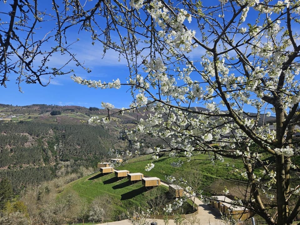 Natural landscape, Mountain view