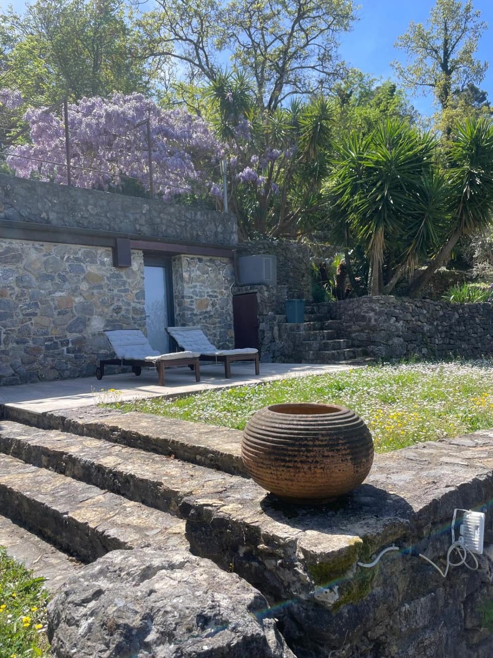 Garden view
