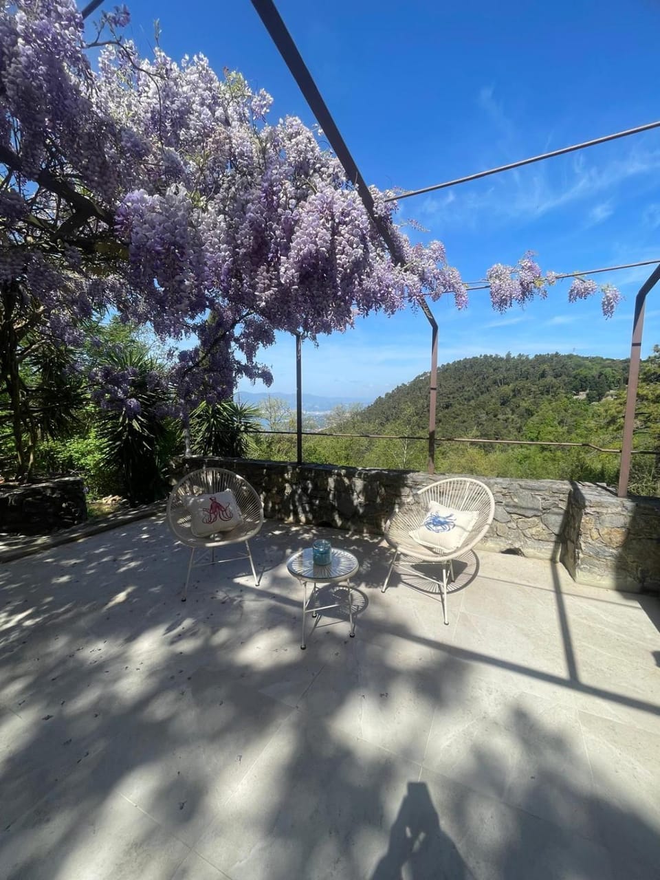 Patio, Day, Natural landscape, View (from property/room), Balcony/Terrace, Mountain view