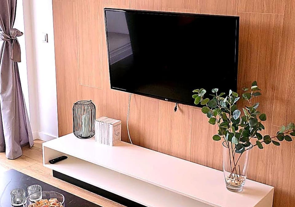 TV and multimedia