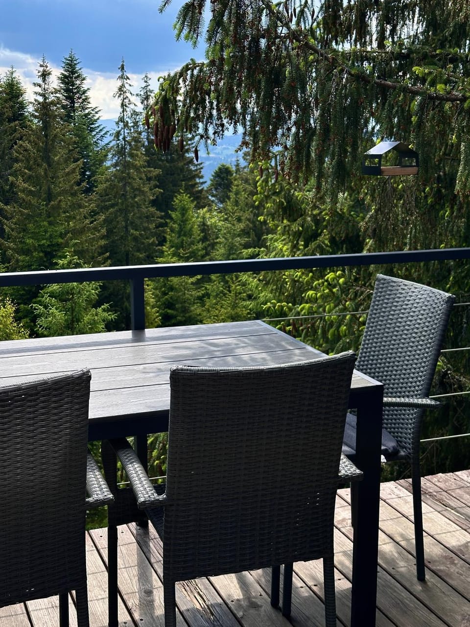 Dining area, Mountain view