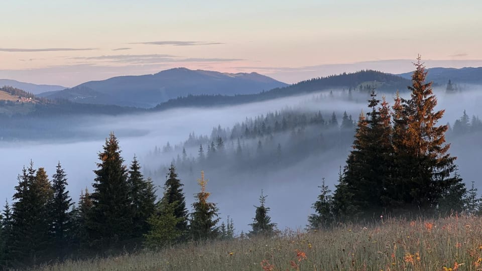 Natural landscape