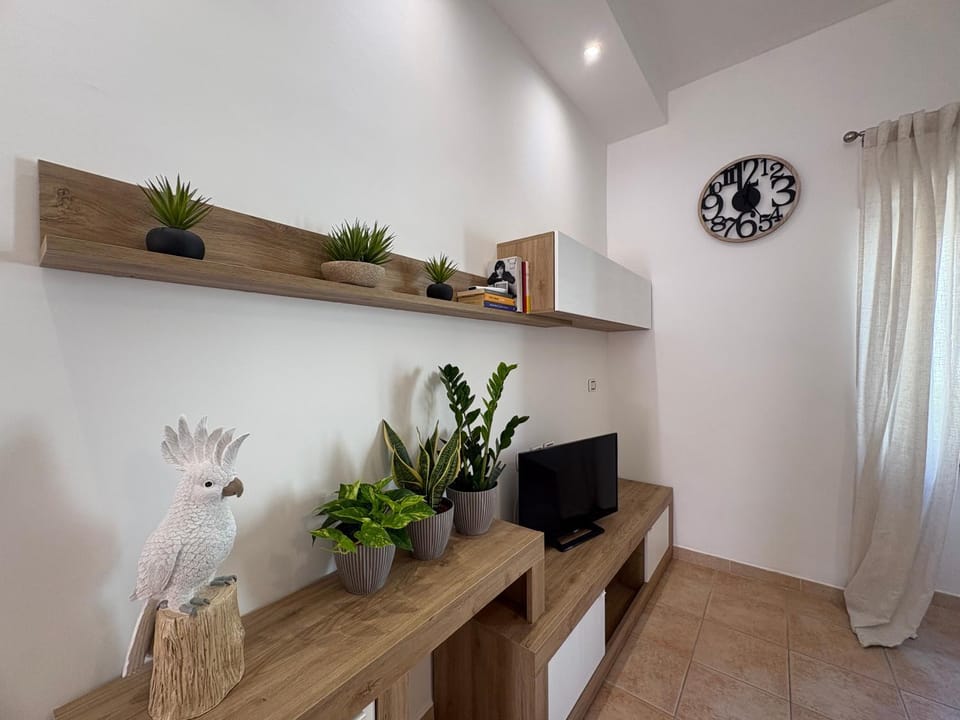TV and multimedia