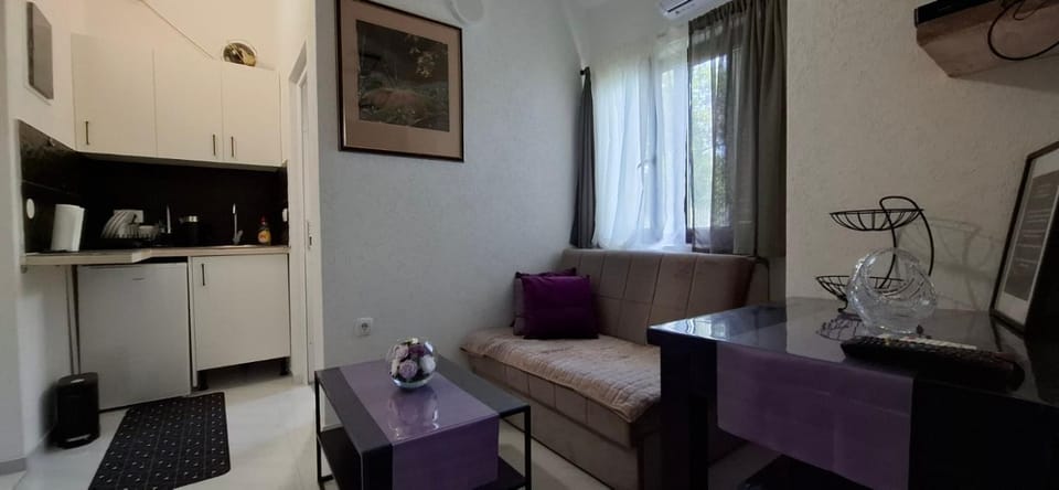 Dado 3 Apartment in Podgorica Municipality, Montenegro
