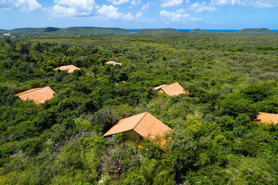 Natural landscape, Location